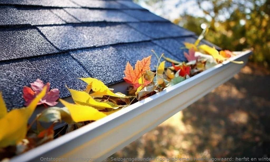 Seizoensgebonden rioolproblemen Heerhugowaard: herfst & winter